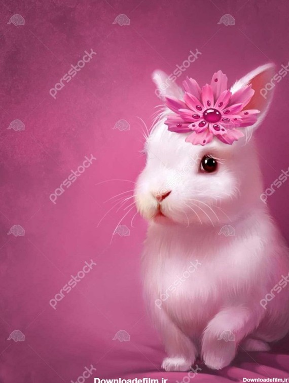 عکس خرگوش های خیلی خوشگل