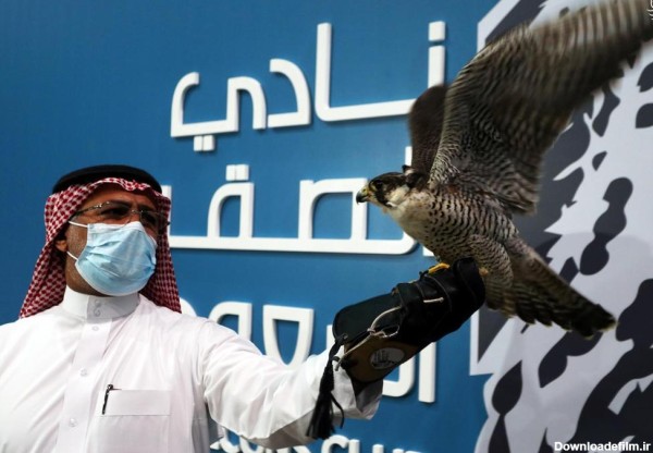 فرارو | (عکس) فروش گرانترین شاهین شکاری در عربستان