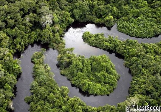 تصاویری زیبا از جنگل های آمازون (قسمت دوم) | لست سکند