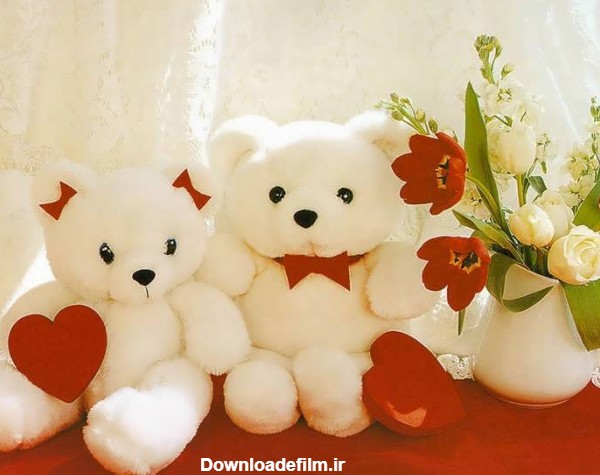 عکس خرس عروسکی و فانتزی با طرح های زیبا