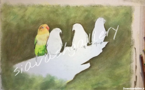نقاشی مرغ عشق با پاستل و پاستل مدادی+(مراحل کار)