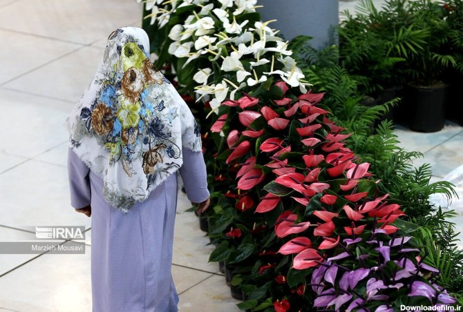 فرارو | (تصاویر) نوزدهمین نمایشگاه گل و گیاه تهران