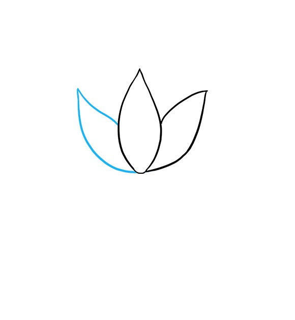 آموزش نقاشی گل نیلوفر آبی مرحله 3