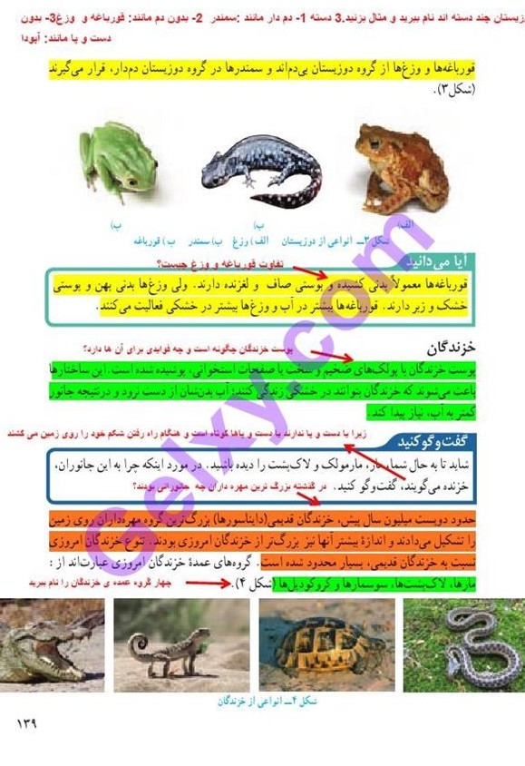 جواب فصل چهارده «جانوران مهره‌دار» علوم نهم