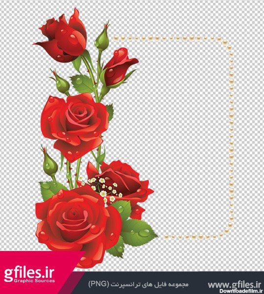 قاب و حاشیه ساده از گلهای رز زیبای قرمز