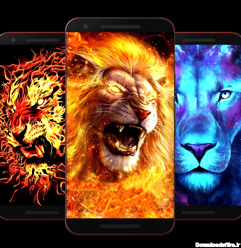 دانلود برنامه Lion Wallpaper HD برای اندروید | مایکت