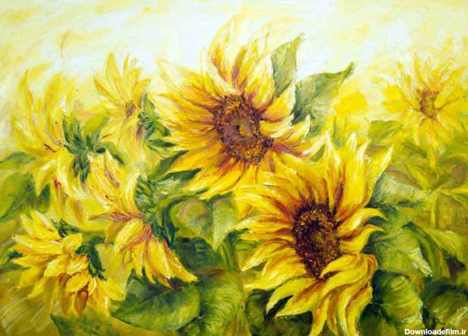 دانلود تصویر نقاشی گل آفتاب گردان