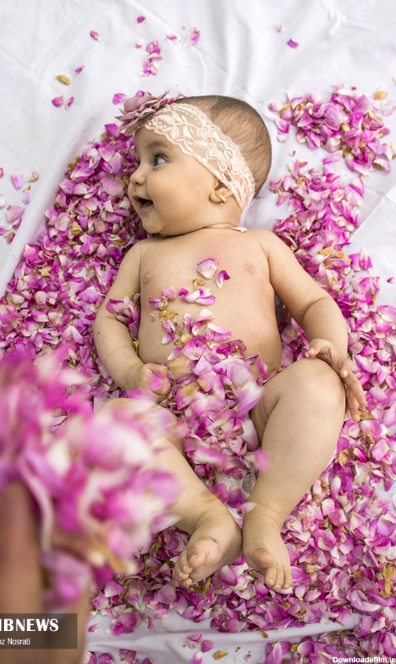 عکس بچه در گل محمدی