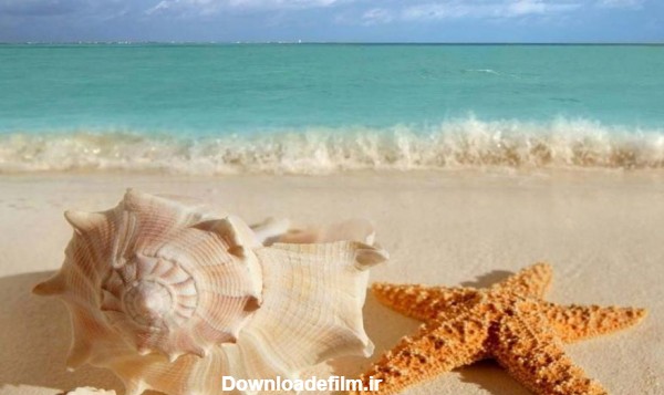 با زیباترین سواحل قشم آشنا شوید - ستاره ونک بهترین سواحل جزیره قشم
