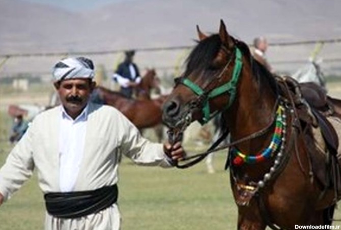 سومین جشنواره اسب اصیل ایرانی نژاد کردی در مهاباد برگزار شد