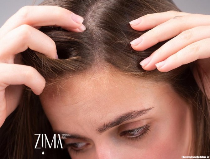 پیاز مو چیست و با چه راه هایی می توان آن را تقویت کرد؟ | زیمالب