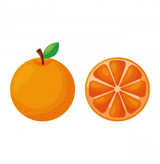 دانلود وکتور طرح میوه پرتقال با پس زمینه رنگ روشن - دانلود ...