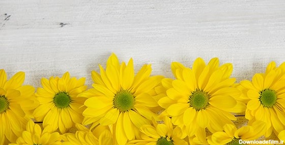 تصویر پس زمینه مجموعه گل زرد روی میز چوبی | فری پیک ایرانی | پیک ...