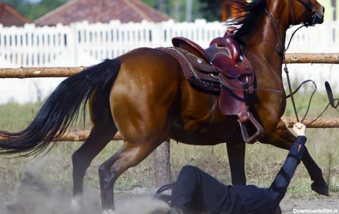 برخورد شدید اسب سوار با تیر برق! فیلم - بهار نیوز