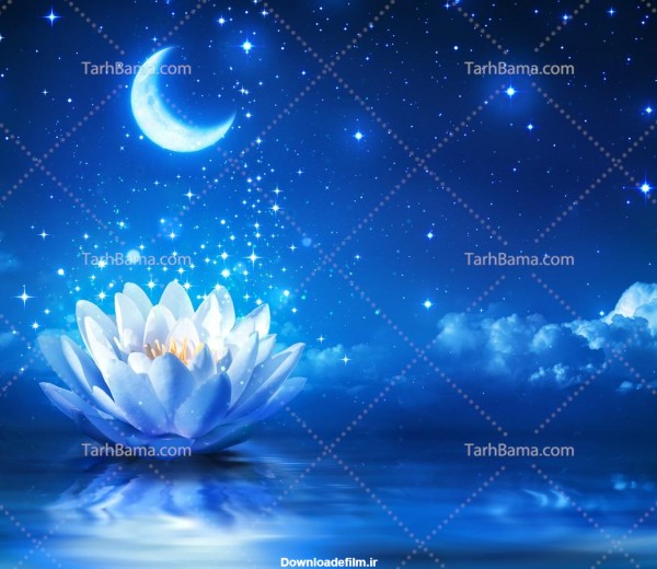 تصویر با کیفیت گل نیلوفر آبی درزیرآسمان پر از ستاره