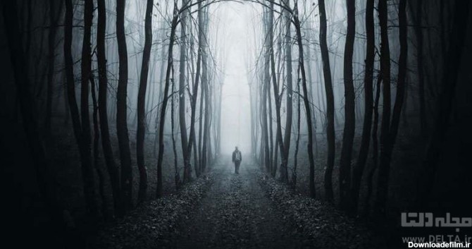 جنگل نفرین شده ای که شب ها جیغ می کشد! | فکر می کنید چرا درختان ...