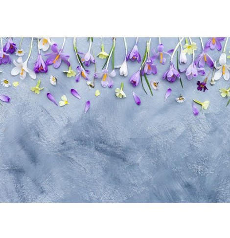 دانلود تصویر کادر بهاری گل با کیفیت بالا مناسب چاپ - کادر ...