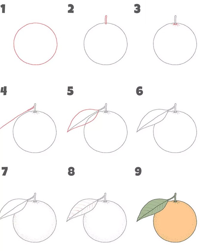 آموزش نقاشی پرتقال ساده با آموزش تصویری