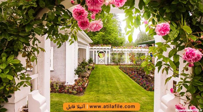 بک گراند باغ عروس برای طراحی عکس آتلیه ای | آتیلا فایل