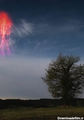 تصویر روز ناسا: شبح سرخ و درخت