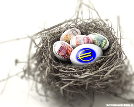 عکس با کیفیت از تخم مرغ ها با طرح دلار و یورو