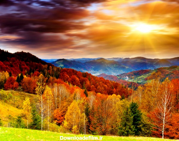 دانلود عکسهای زیبا و شگفت انگیز از فصل پاییز با کیفیت HD | حیاط خلوت