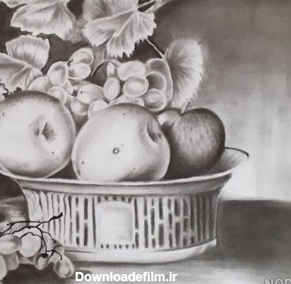 طرح نقاشی سیاه قلم میوه - عکس نودی