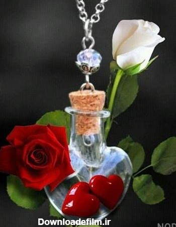 عکس گل برای پروفایل واتساپ - عکس نودی