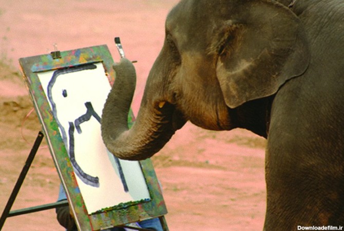 تصاویر حیوانات خارق‌العاده‌ای که نقاشی می‌کشند