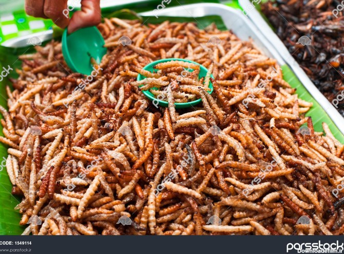 غذای تایلندی در بازار کرم های خوراکی حشرات سرخ شده برای میان وعده ...