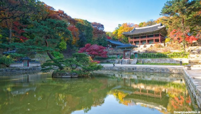 بهترین دیدنی‌های کره جنوبی + عکس (1402) | بامبو اکوتور Bamboo Ecotour