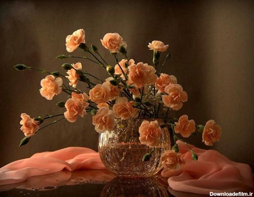گل و گلدان های فوق العاده زیبا و دیدنی /تصاویر - مهین فال