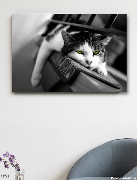 تابلو سیاه و سفید گربه خسته