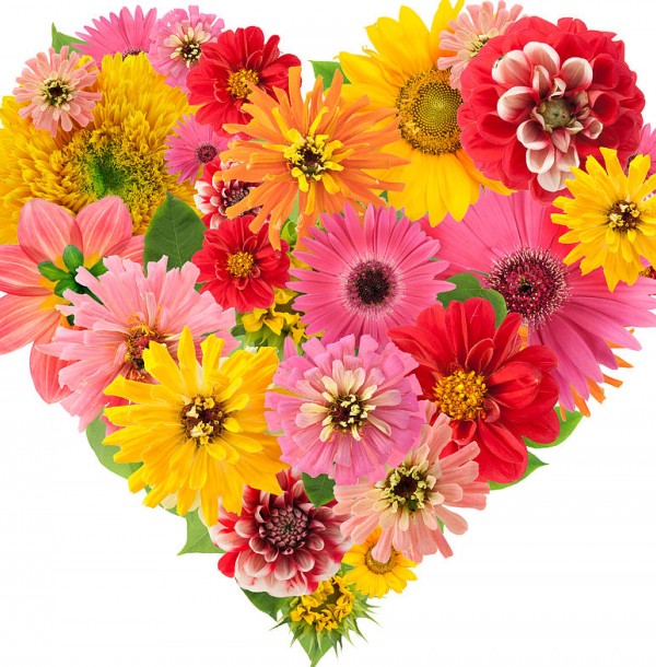 عکس پروفایل گل های زیبای چیده شده به صورت قلب – 123گرافیک