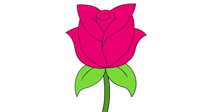 آموزش نقاشی گل رز How to Draw a Rose