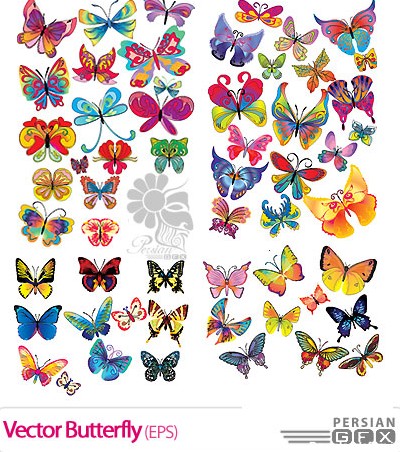 تصاویر وکتور زیبای پروانه ها - Vector Butterfly