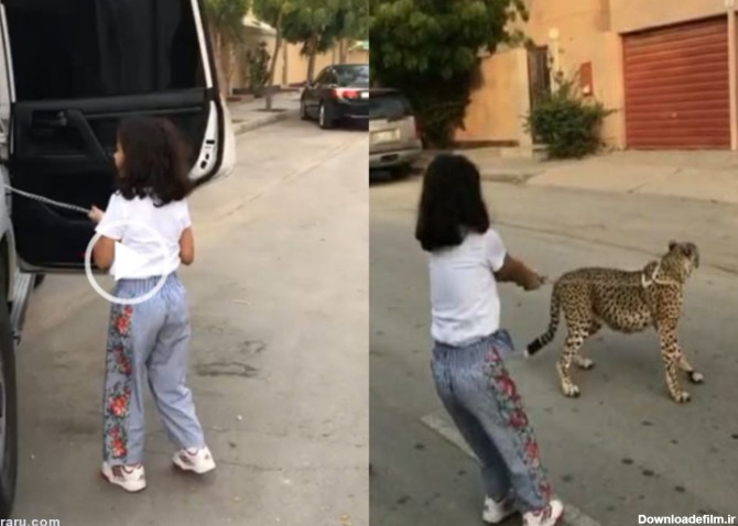 فرارو | (ویدئو) یوزپلنگ، حیوان خانگی دختر عربستانی!