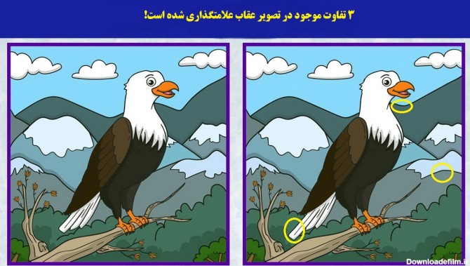 شناسایی تفاوت تصویر عقاب