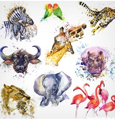 مجموعه کاراکتر حیوانات و پرندگان بصورت نقاشی شده آبرنگ