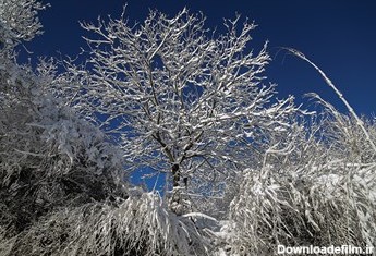 تصاویری از جلوه های زیبای طبیعت زمستانی سنندج