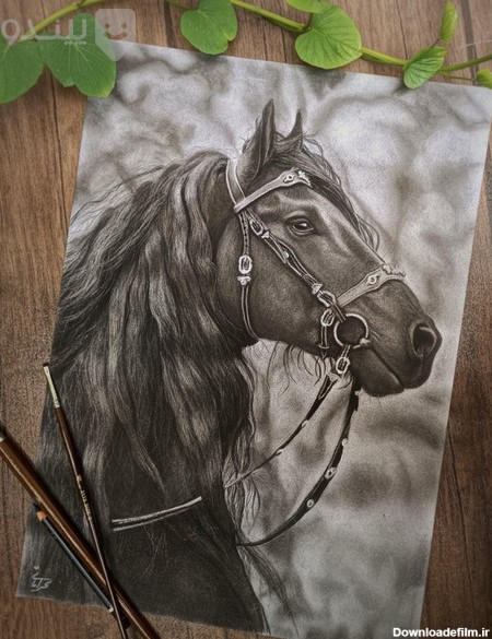 طراحی سیاه قلم طرح اسب