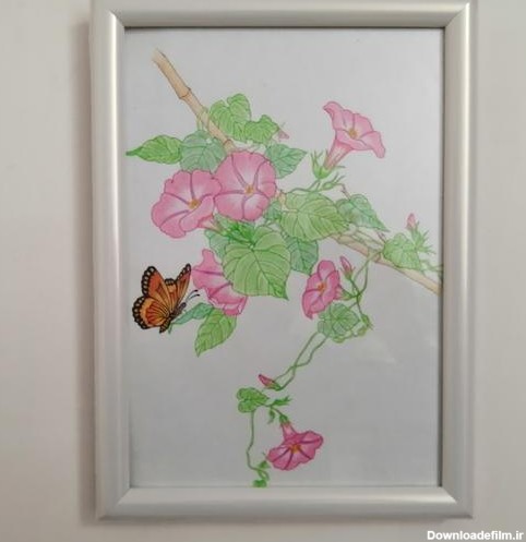 عکس نقاشی گل پروانه