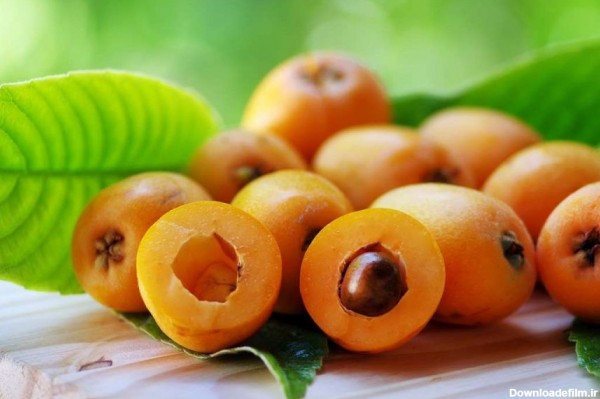 فرارو | 10 خواص باورنکردنی میوه ازگیل ژاپنی یا لوکوآت و روش کاشت ...