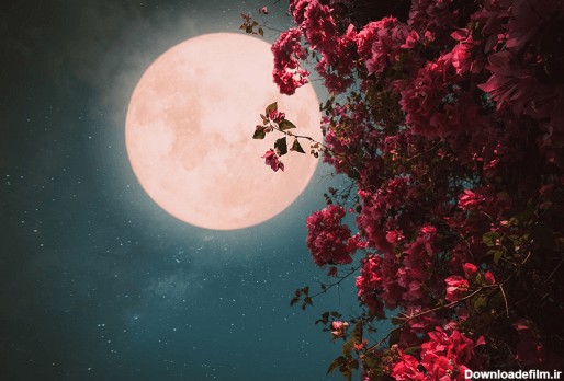 دانلود رایگان عکس ماه شب یلدا با کیفیت بالا - جی اف اکستریم