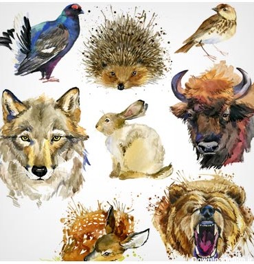 تصاویر نقاشی شده حیوانات مختلف با آبرنگ