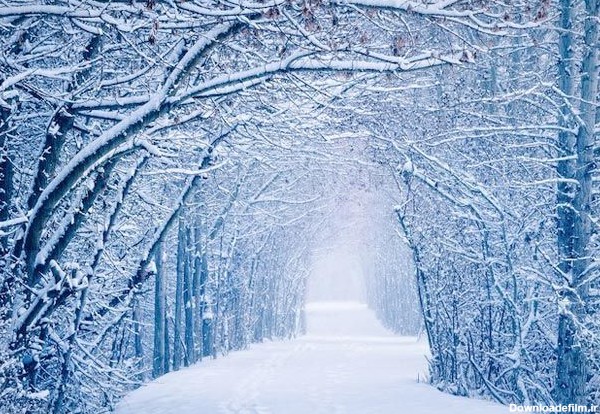 تصاویر شگفت انگیز زمستان در جهان - اسلايد تصاوير - عکس شماره 1 ...