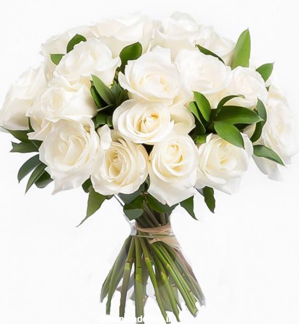 سفارش و خرید آنلاین دسته گل رز سفید | گل فروشی آنلاین گل بازار