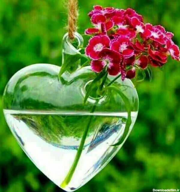 عکس زیبا از قلب و گل