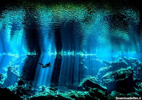 برترین عکس ها از دنیای زیر آب معرفی شدند