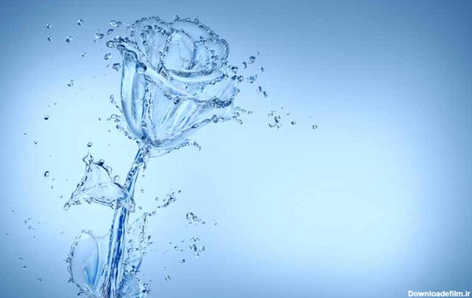 دانلود عکس قطرات آب به شکل گل | تیک طرح مرجع گرافیک ایران